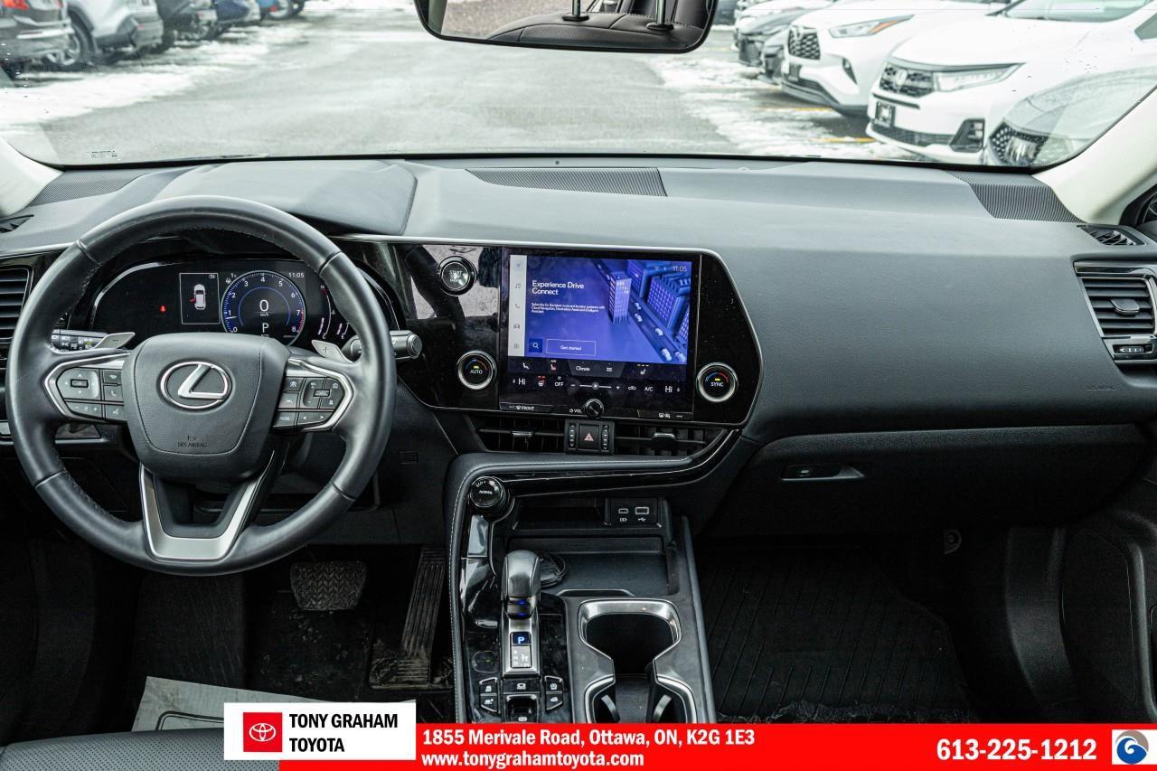 2024 Lexus NX 250 Photo