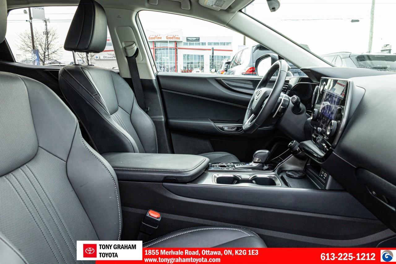 2024 Lexus NX 250 Photo