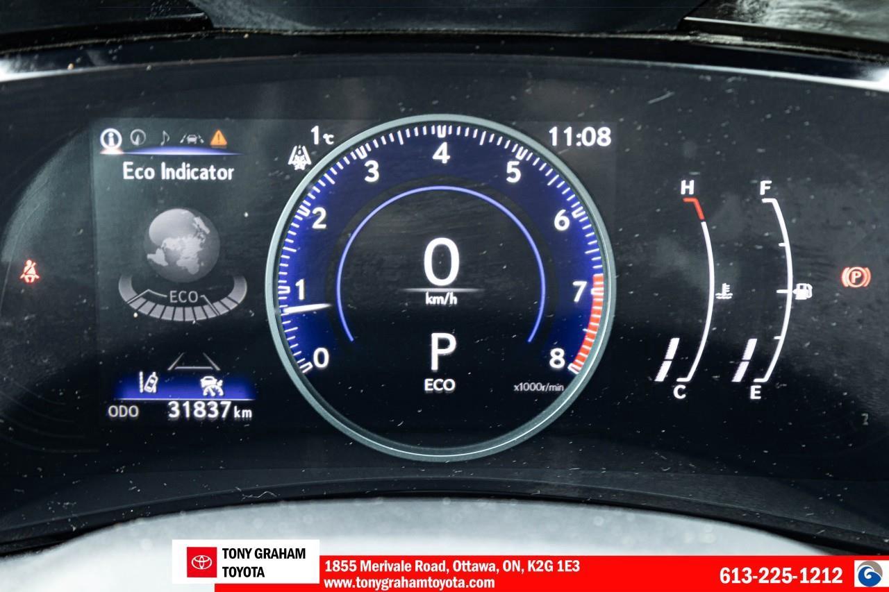 2024 Lexus NX 250 Photo