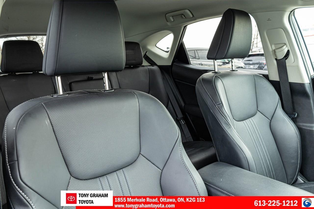 2024 Lexus NX 250 Photo