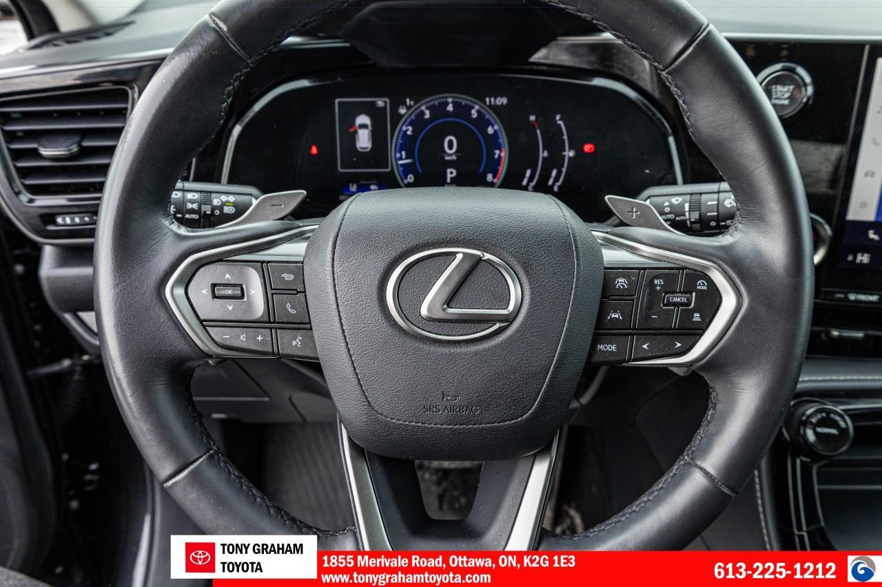2024 Lexus NX 250 Photo
