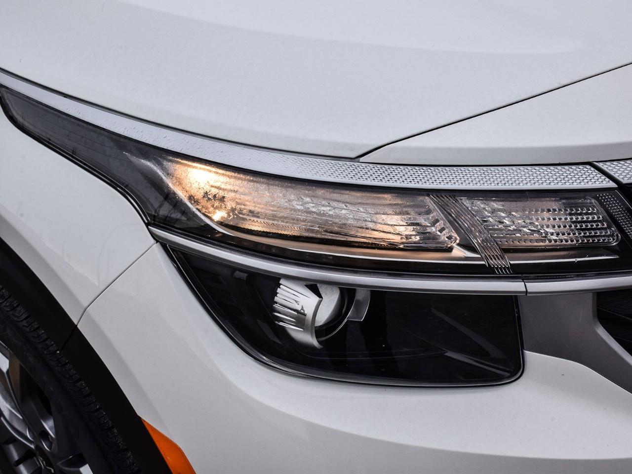 2026 Kia Seltos LX Photo