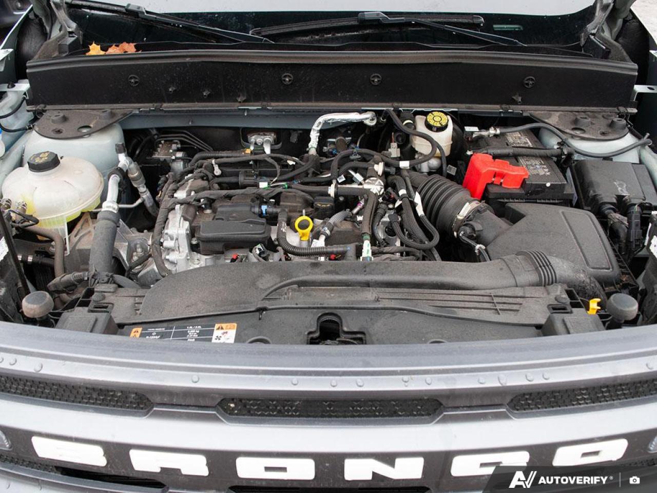 2024 Ford Bronco Sport Big Bend Front and Rear Splash Guards Photo