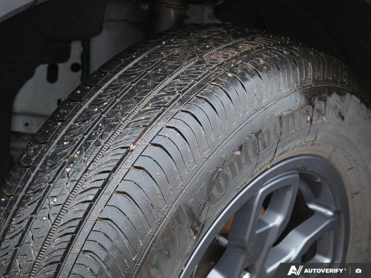 2024 Ford Bronco Sport Big Bend Front and Rear Splash Guards Photo