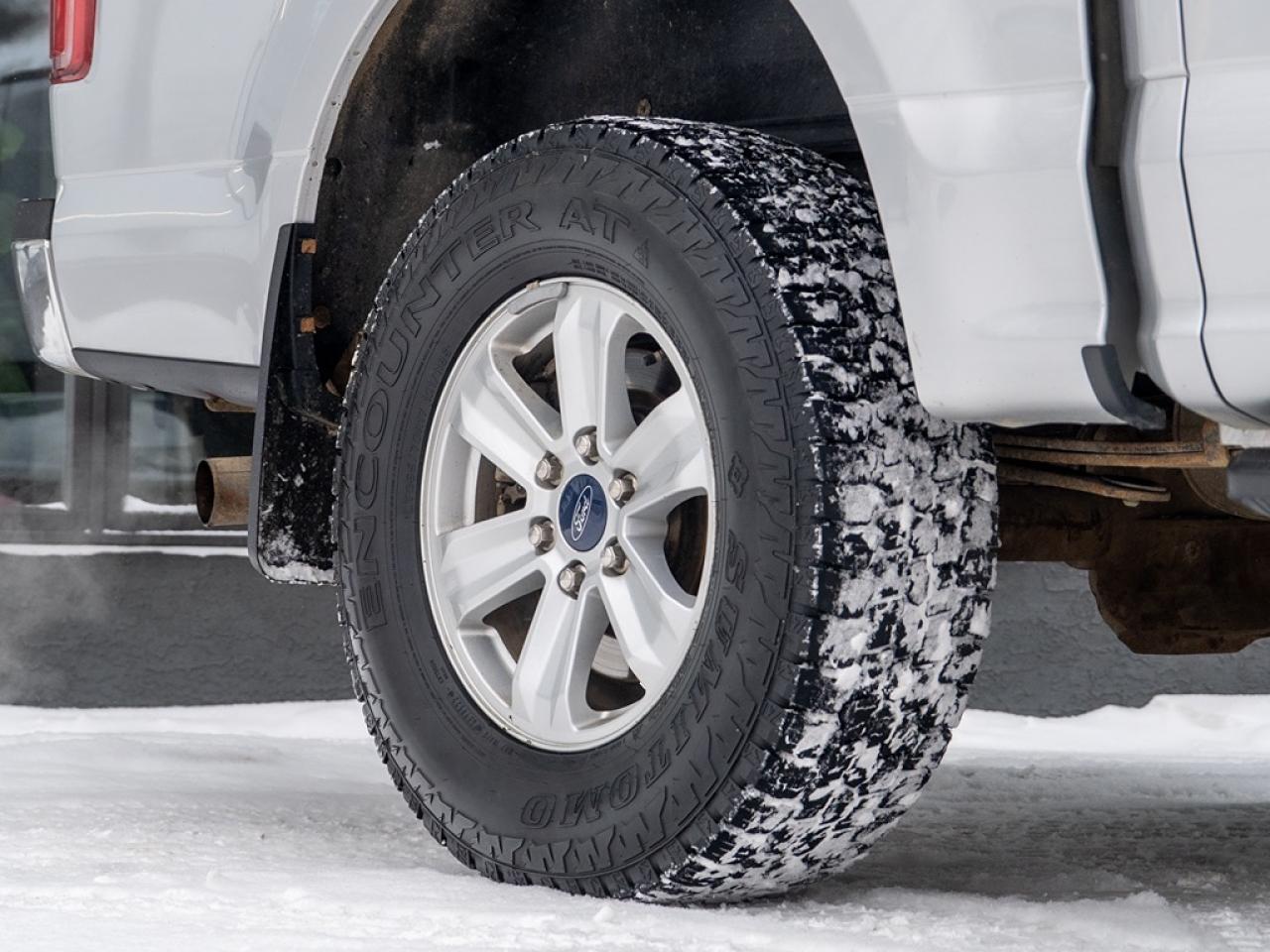 2019 Ford F-150 XLT Photo3