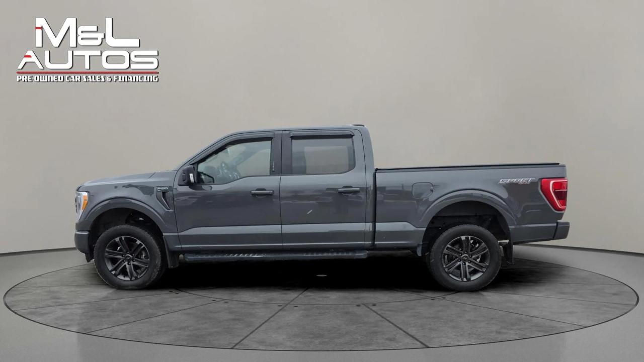 2021 Ford F-150 XLT 4WD SuperCrew 6.5' Box Photo