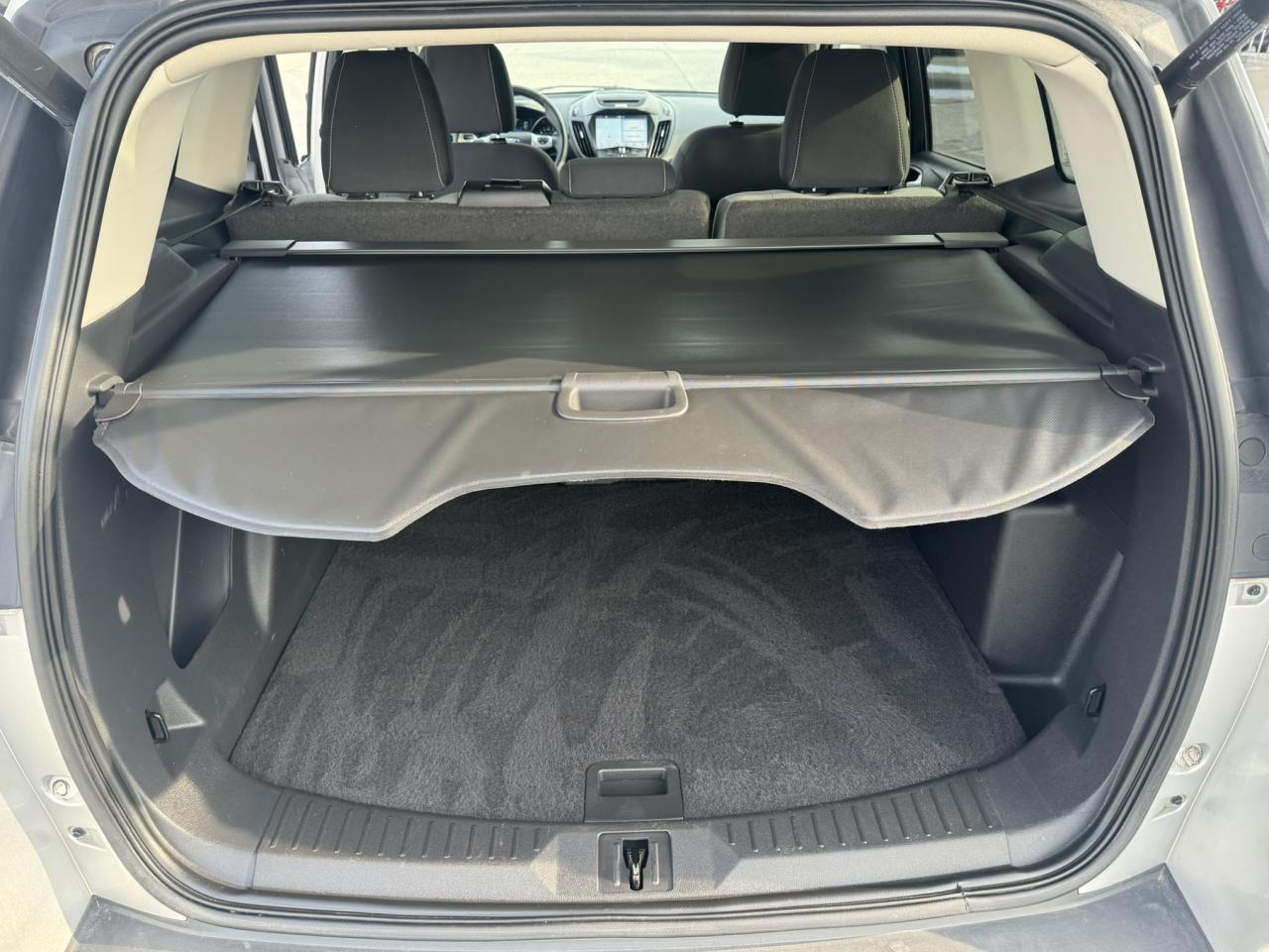 2016 Ford Escape FWD 4dr SE Photo