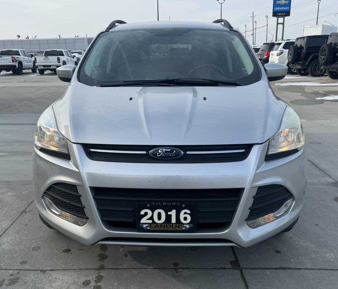 2016 Ford Escape FWD 4dr SE Photo