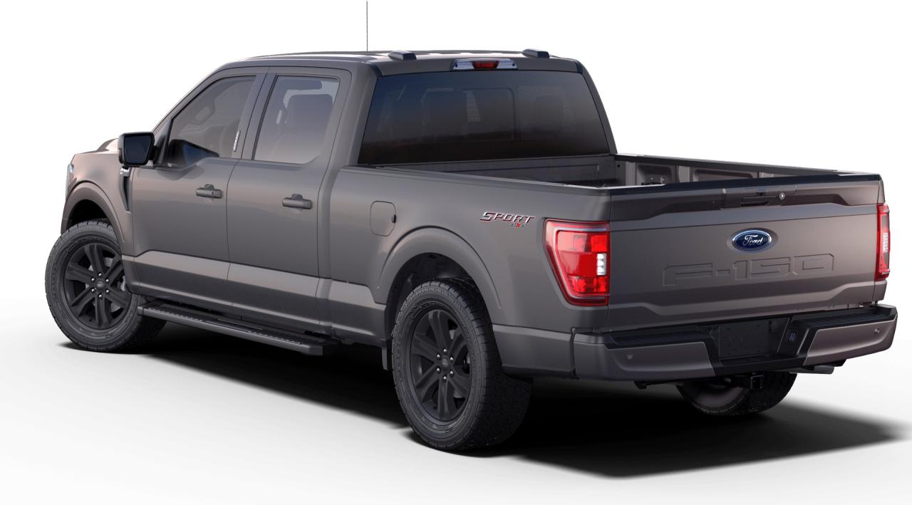 2021 Ford F-150 XLT 4WD SuperCrew 5.5' Box Photo