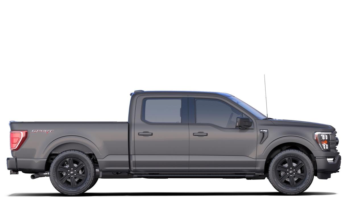 2021 Ford F-150 XLT 4WD SuperCrew 5.5' Box Photo