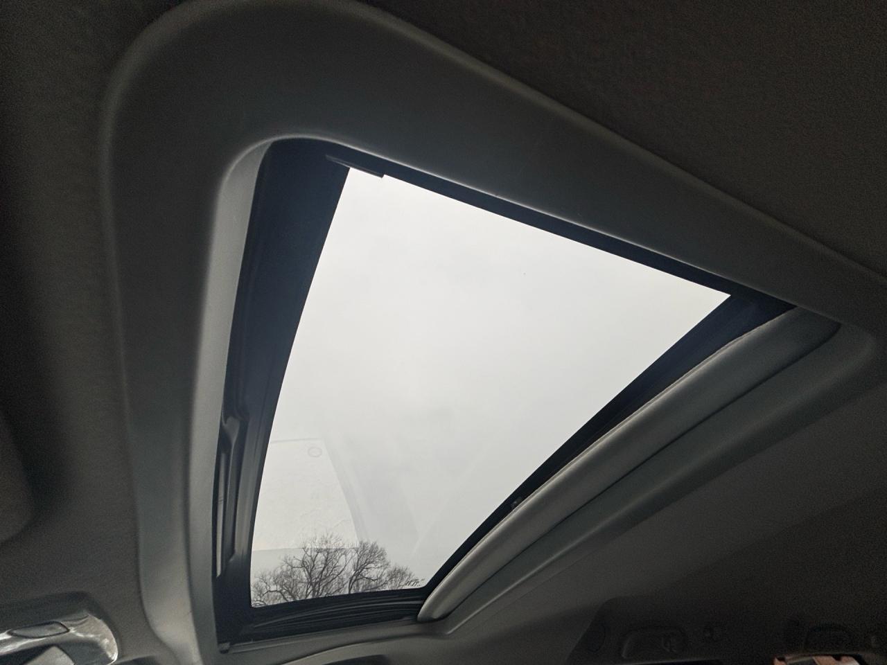 2014 Toyota Sienna SE 8-Pass FWD Photo