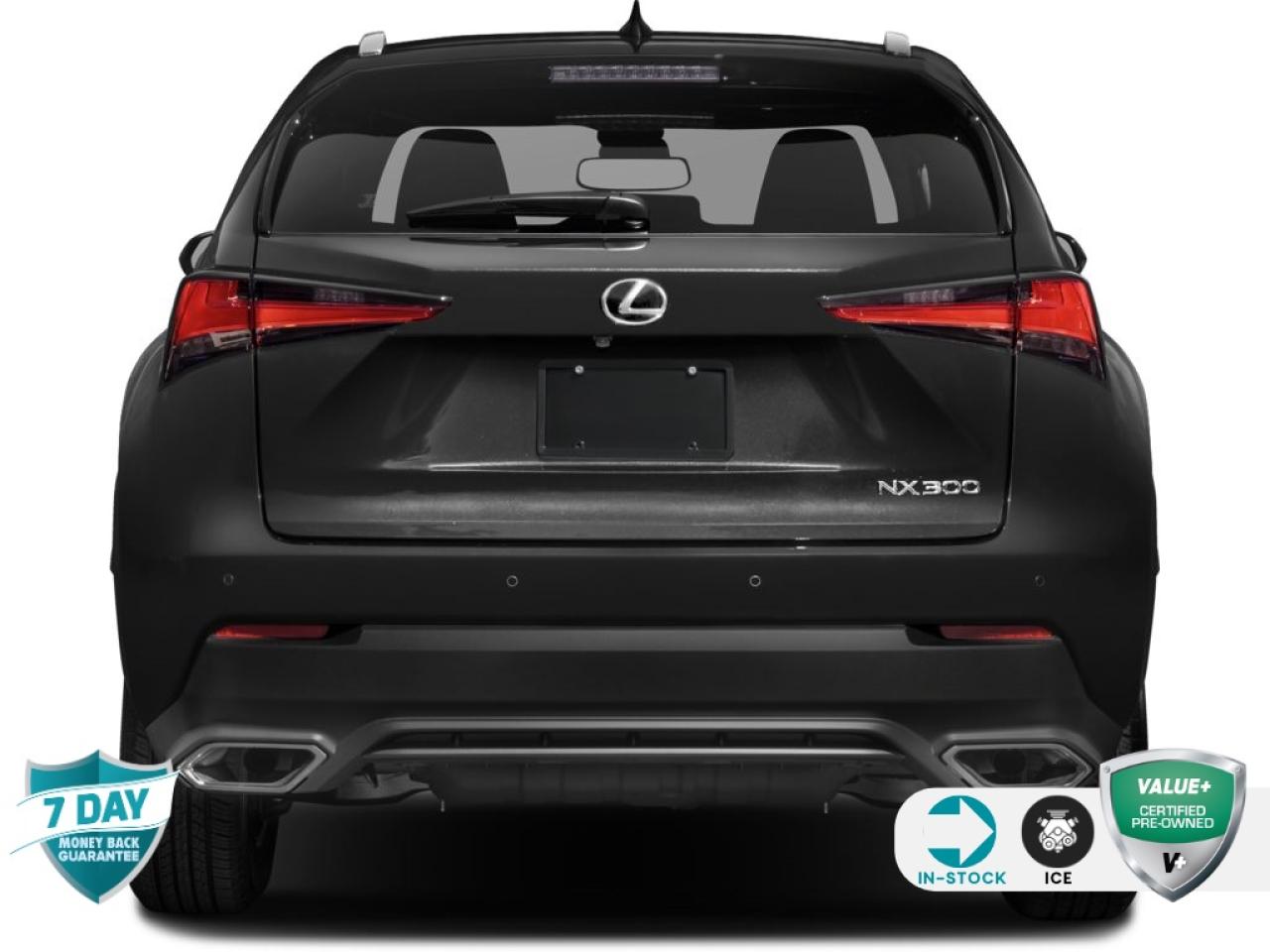 2019 Lexus NX 300 AWD LEATHER NO ACCIDENTS CERTIFIED Photo3