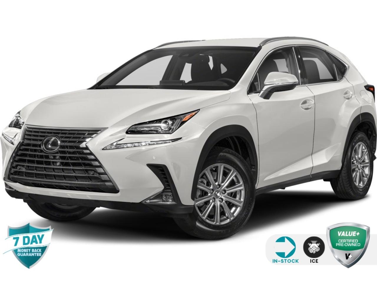 2019 Lexus NX 300 AWD LEATHER NO ACCIDENTS CERTIFIED Photo0