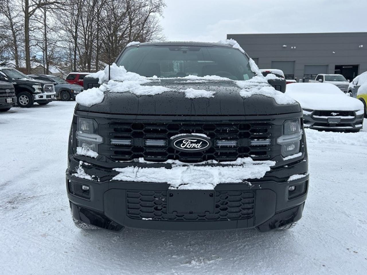 2025 Ford F-150 STX Lobo 4WD SuperCrew 5.5' Box 200A Photo3