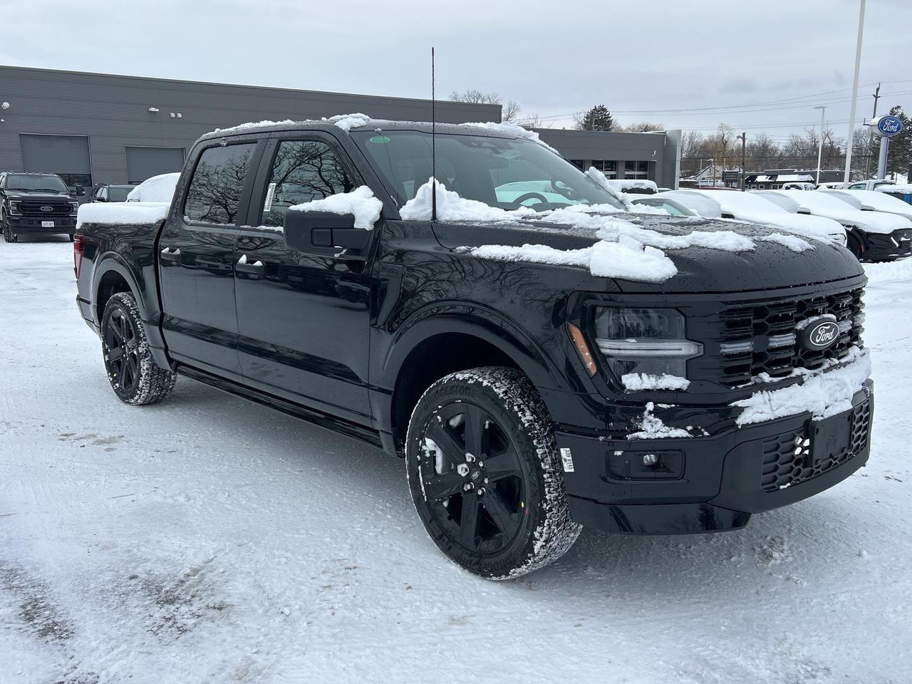 2025 Ford F-150 STX Lobo 4WD SuperCrew 5.5' Box 200A Photo4