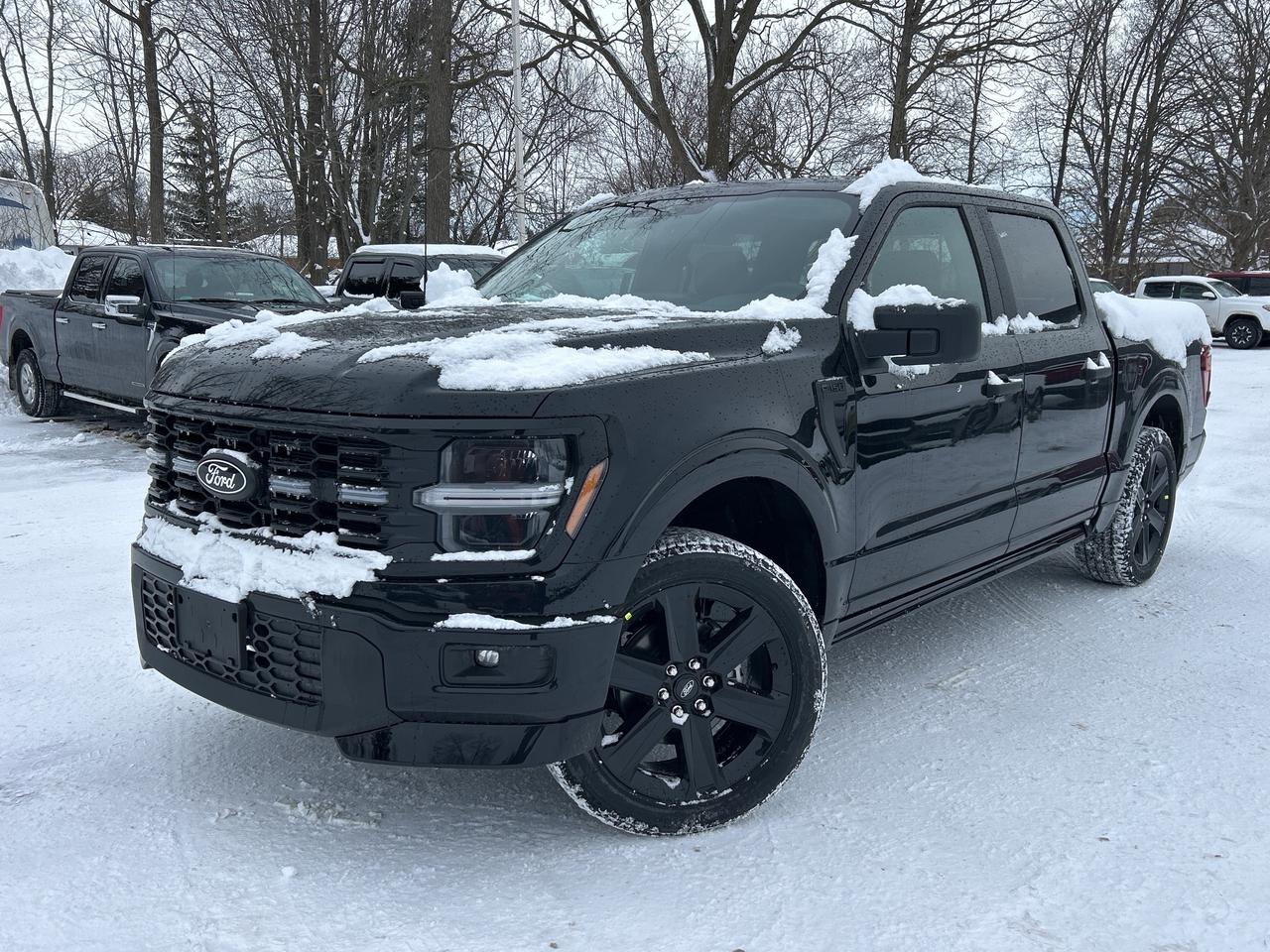 2025 Ford F-150 STX Lobo 4WD SuperCrew 5.5' Box 200A Photo0