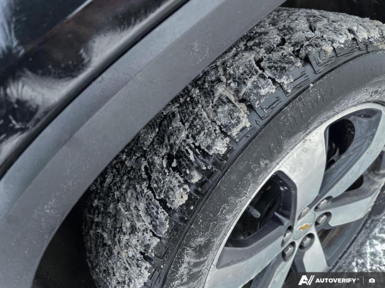 2024 Chevrolet Traverse Limited True North  TRUE NORTH, LEATHER, AWD, SUNROOF Photo