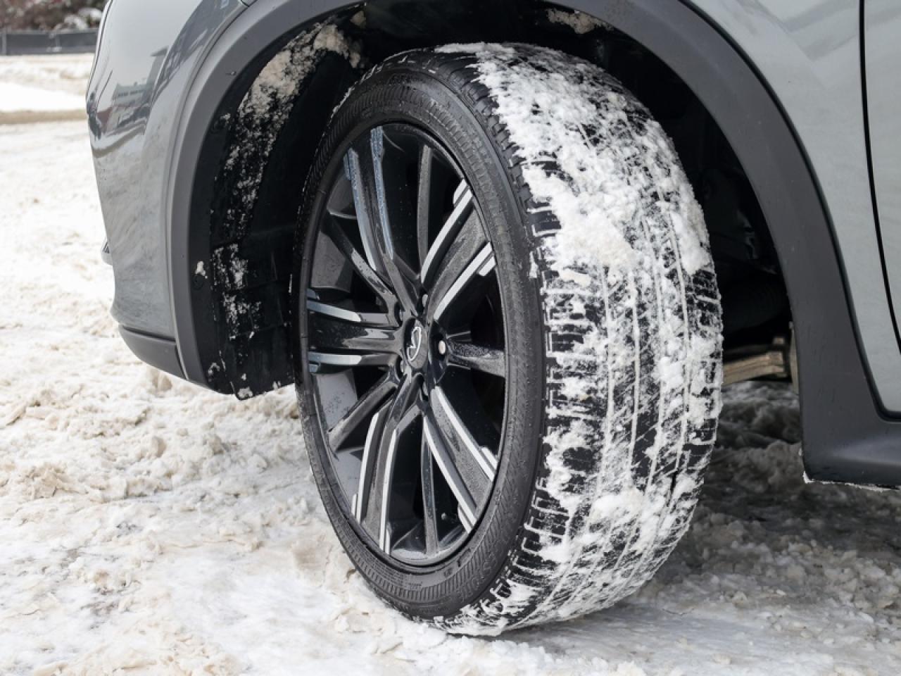 2021 Infiniti QX50 LUXE I-LINE  -  Sunroof -  Navigation Photo