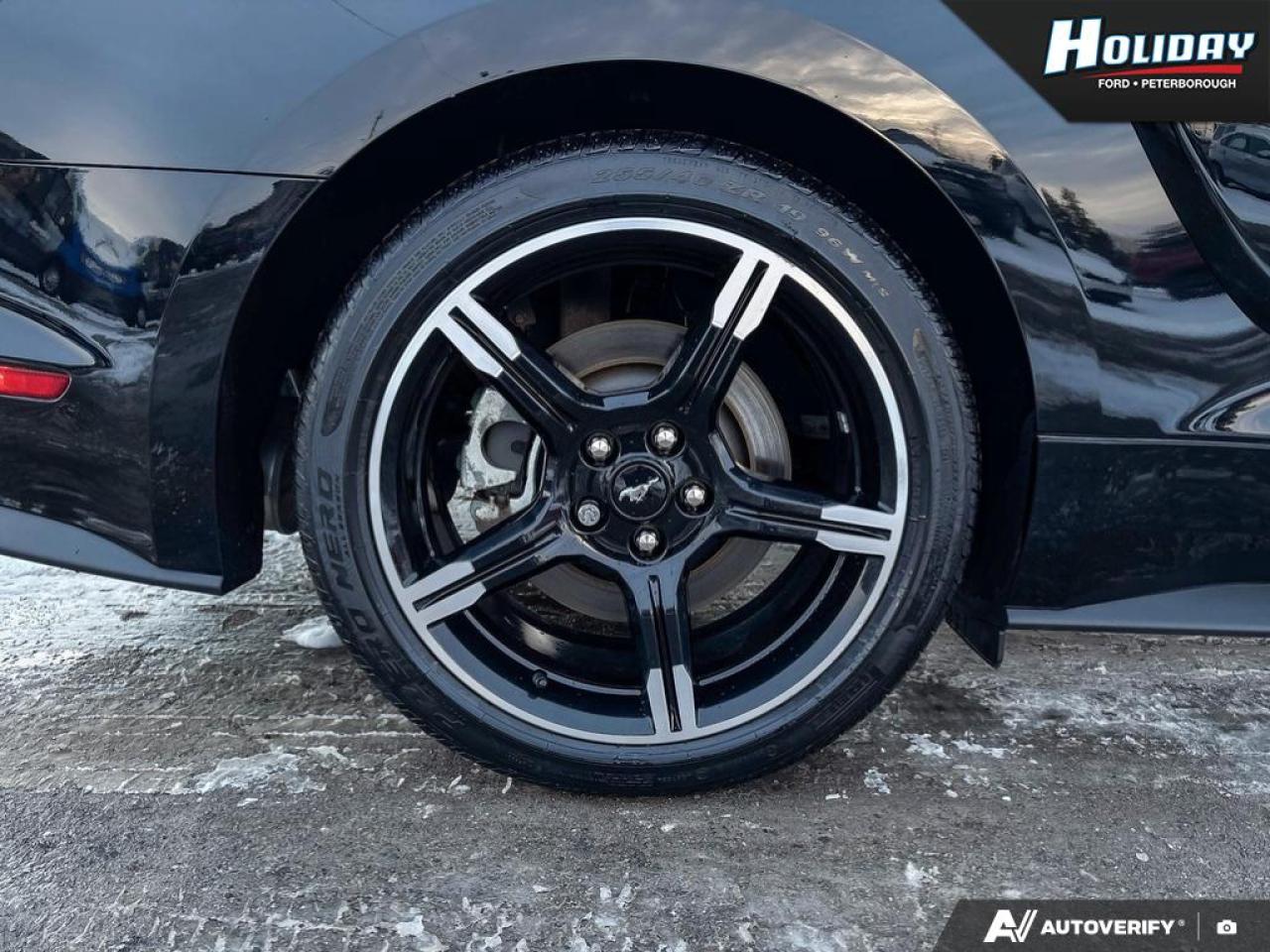 2021 Ford Mustang GT Premium Photo