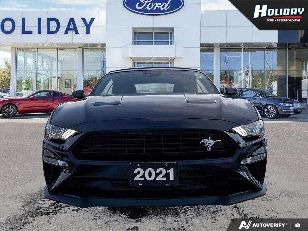 2021 Ford Mustang GT Premium Photo