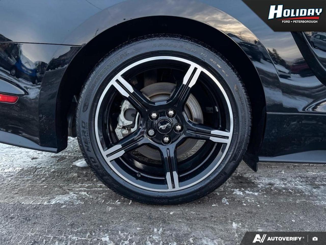 2021 Ford Mustang GT Premium Photo