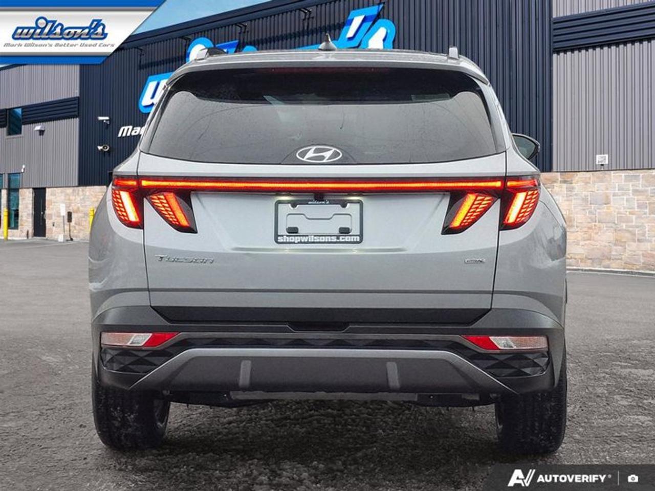 2024 Hyundai Tucson Trend AWD | Leather | Pano Roof | Navi | Heated Seats + Steering | Adaptive Cruise | and More ! Photo3