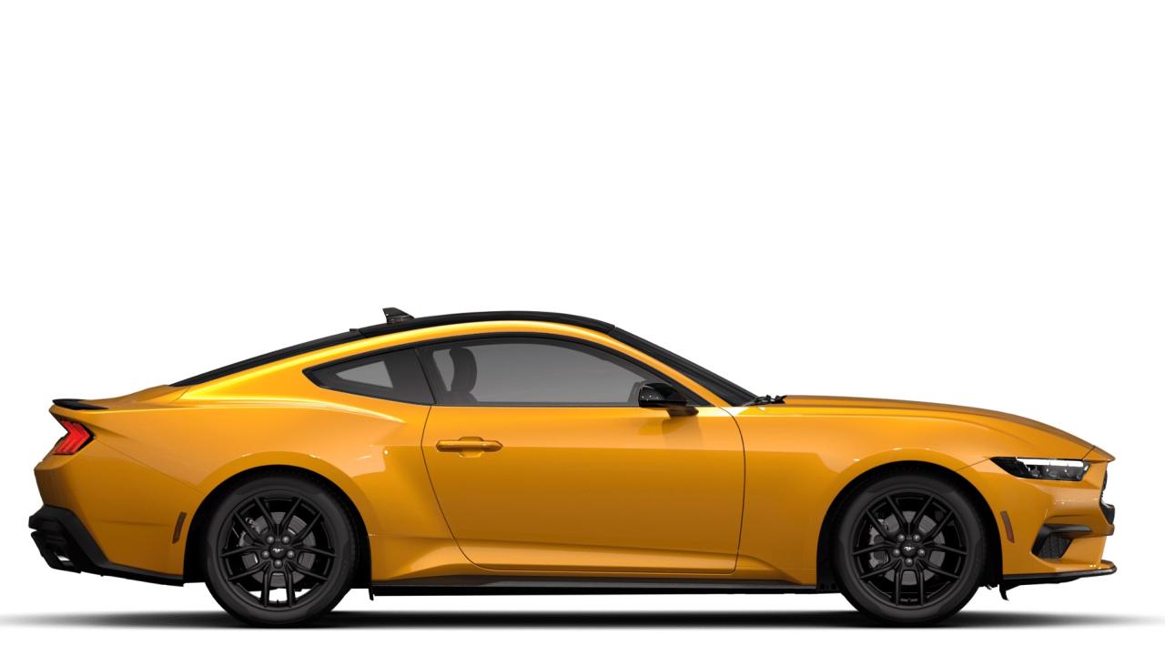 2026 Ford Mustang EcoBoost Photo4