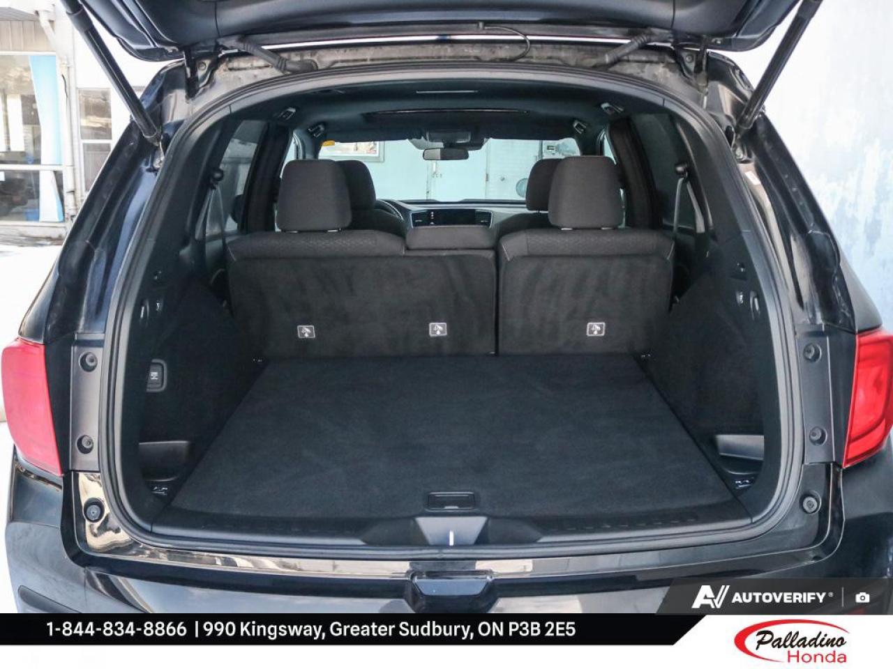 2022 Honda Passport SPORT Photo