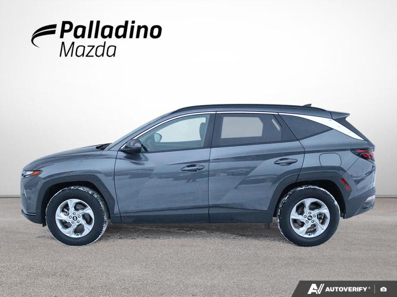 2023 Hyundai Tucson Preferred Photo