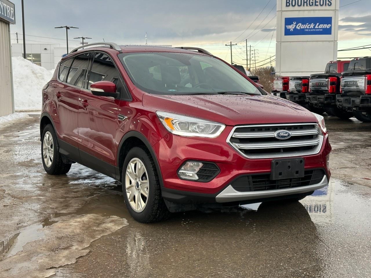 2017 Ford Escape 4WD 4DR TITANIUM Photo