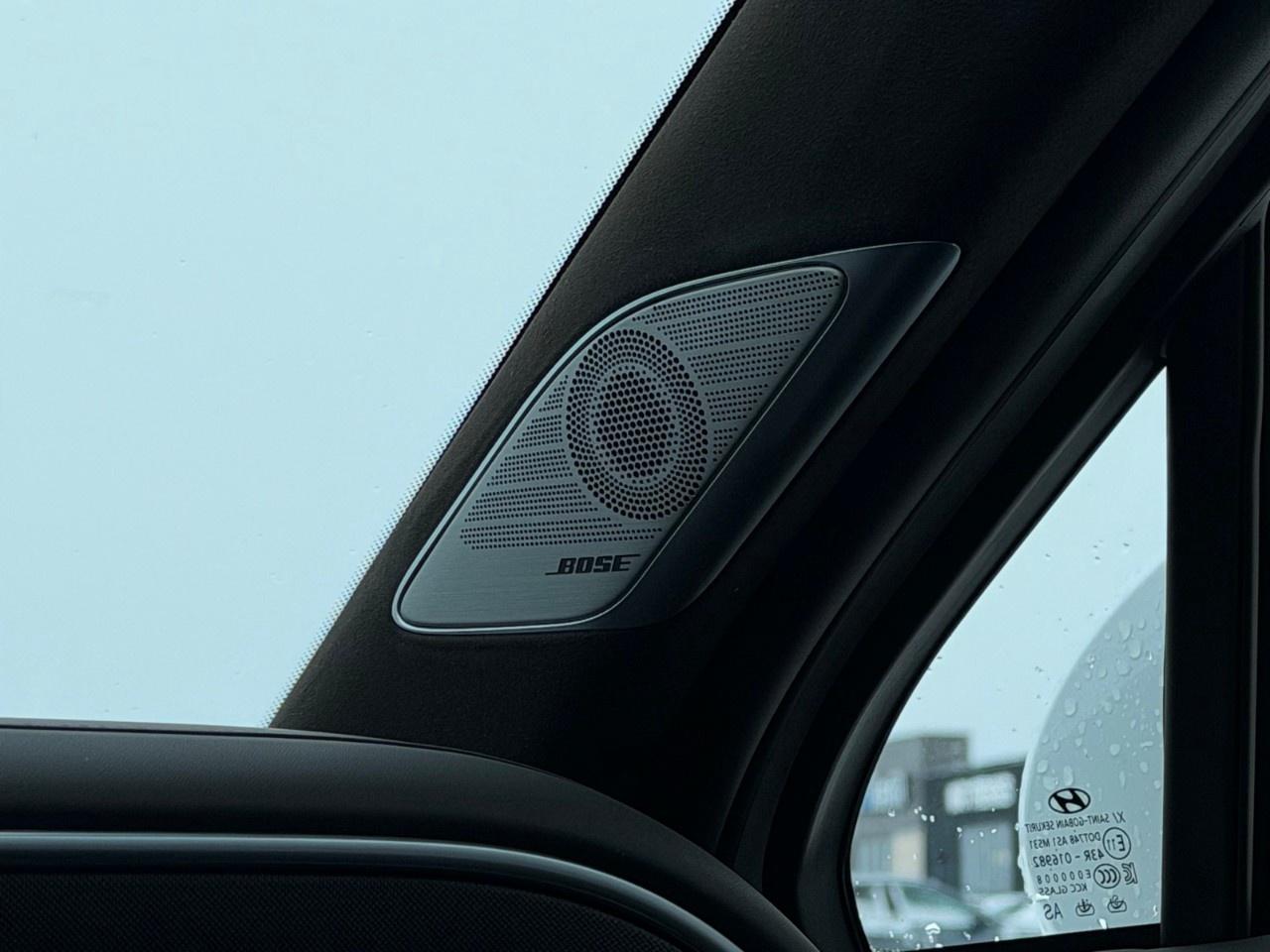 2026 Hyundai PALISADE ULTIMATE CALLIGRAPHY AWD Photo