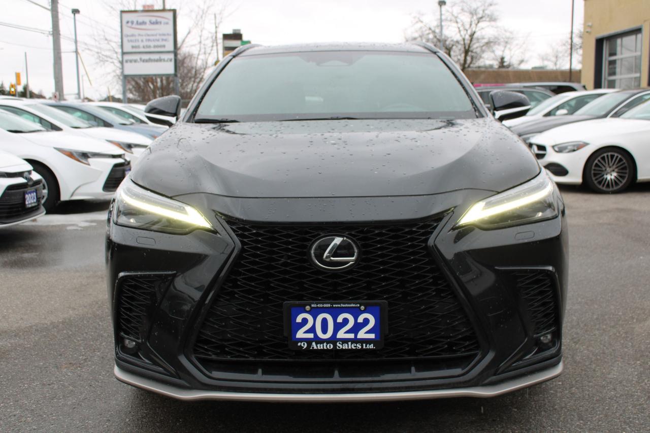 2022 Lexus NX NX 350 Photo