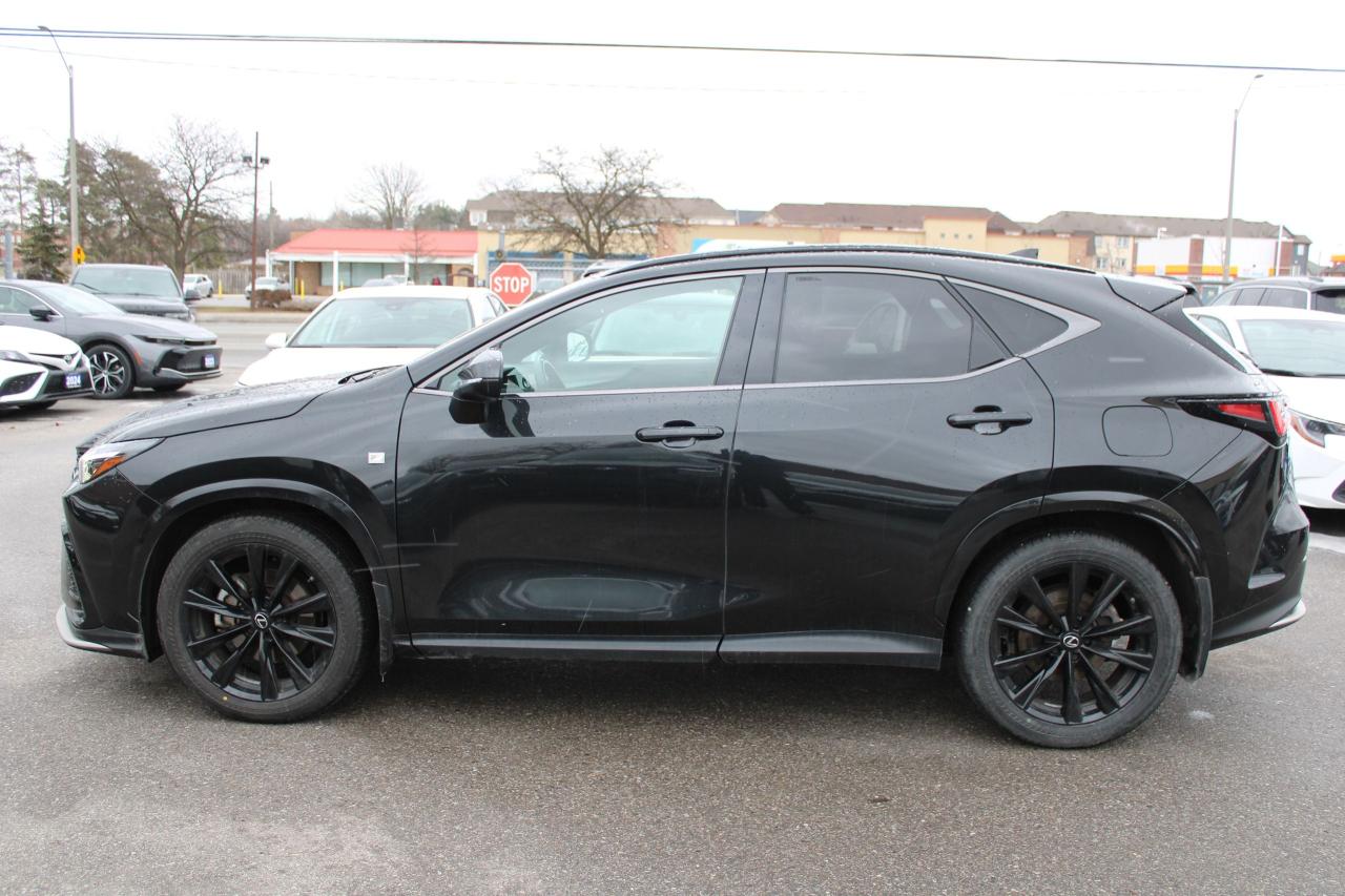 2022 Lexus NX NX 350 Photo3