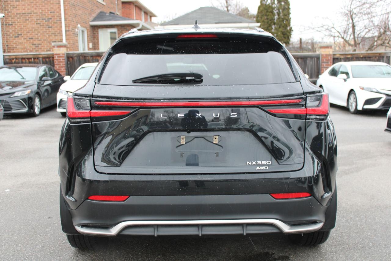 2022 Lexus NX NX 350 Photo