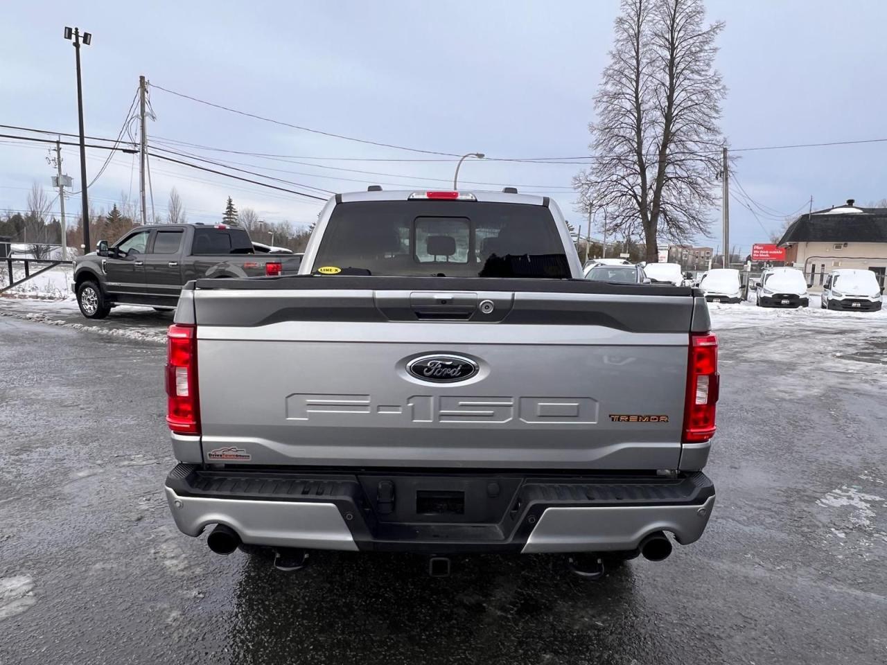 2022 Ford F-150 Tremor Photo