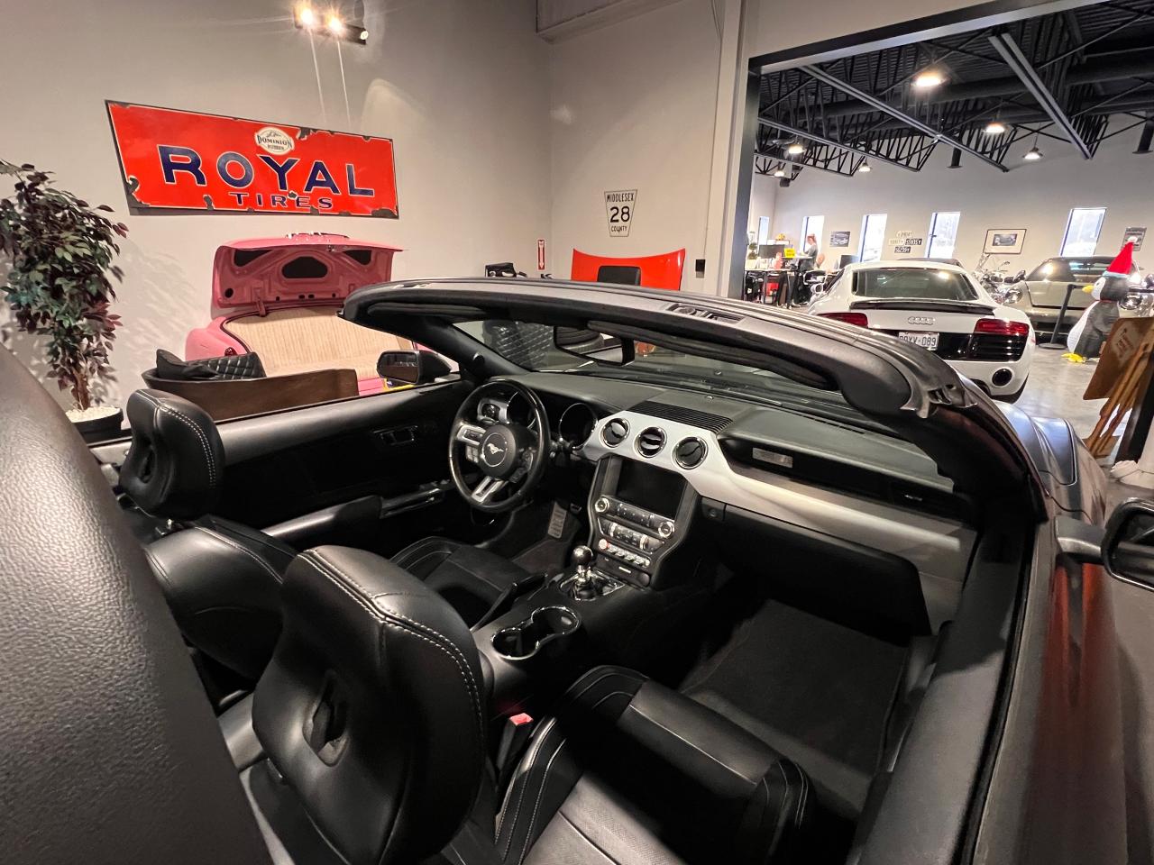 2015 Ford Mustang 2dr Conv GT Premium Photo