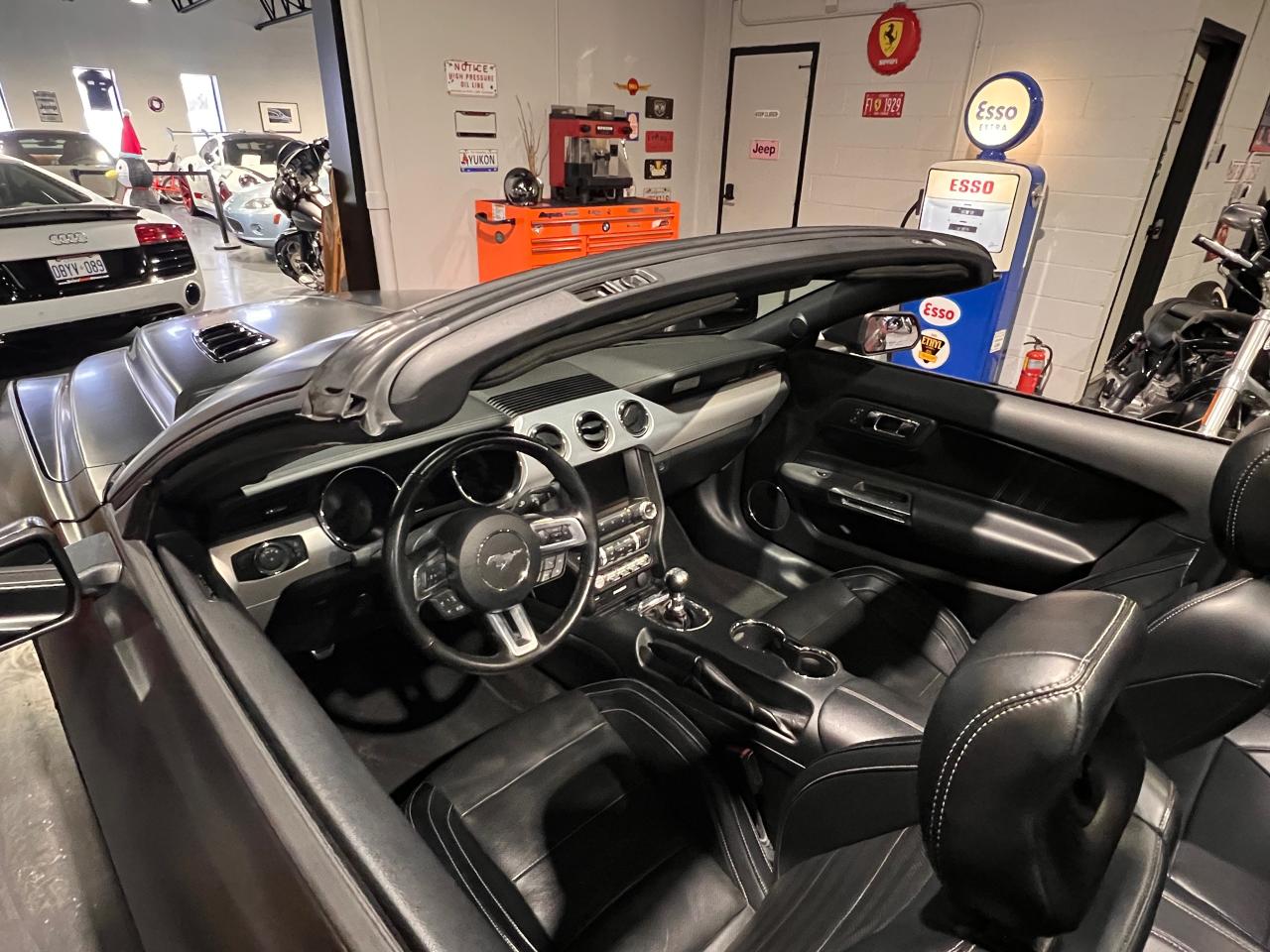 2015 Ford Mustang 2dr Conv GT Premium Photo