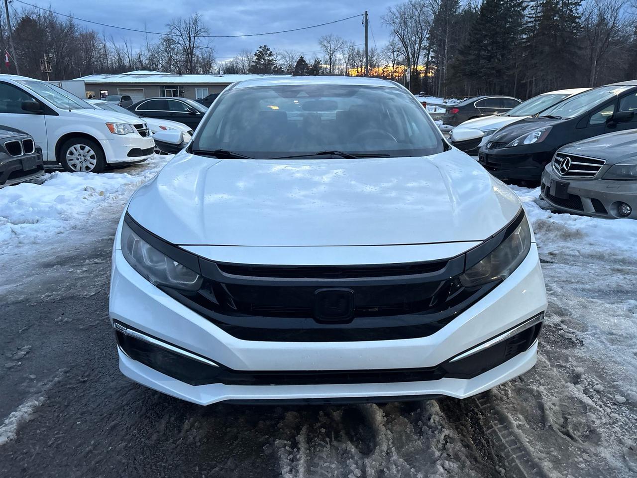 2019 Honda Civic LX Photo