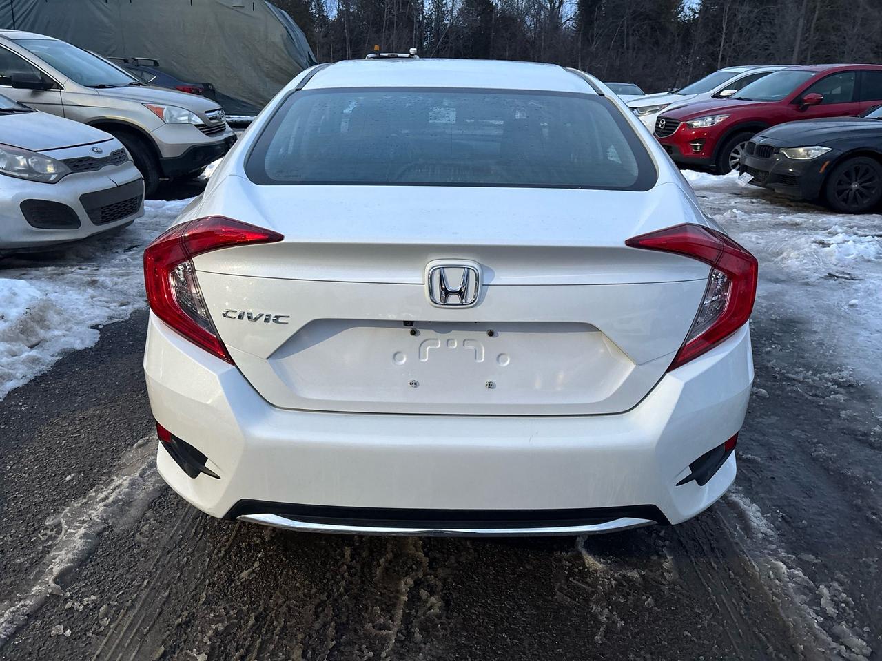 2019 Honda Civic LX Photo