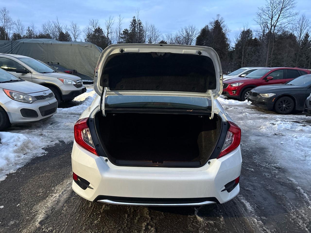 2019 Honda Civic LX Photo