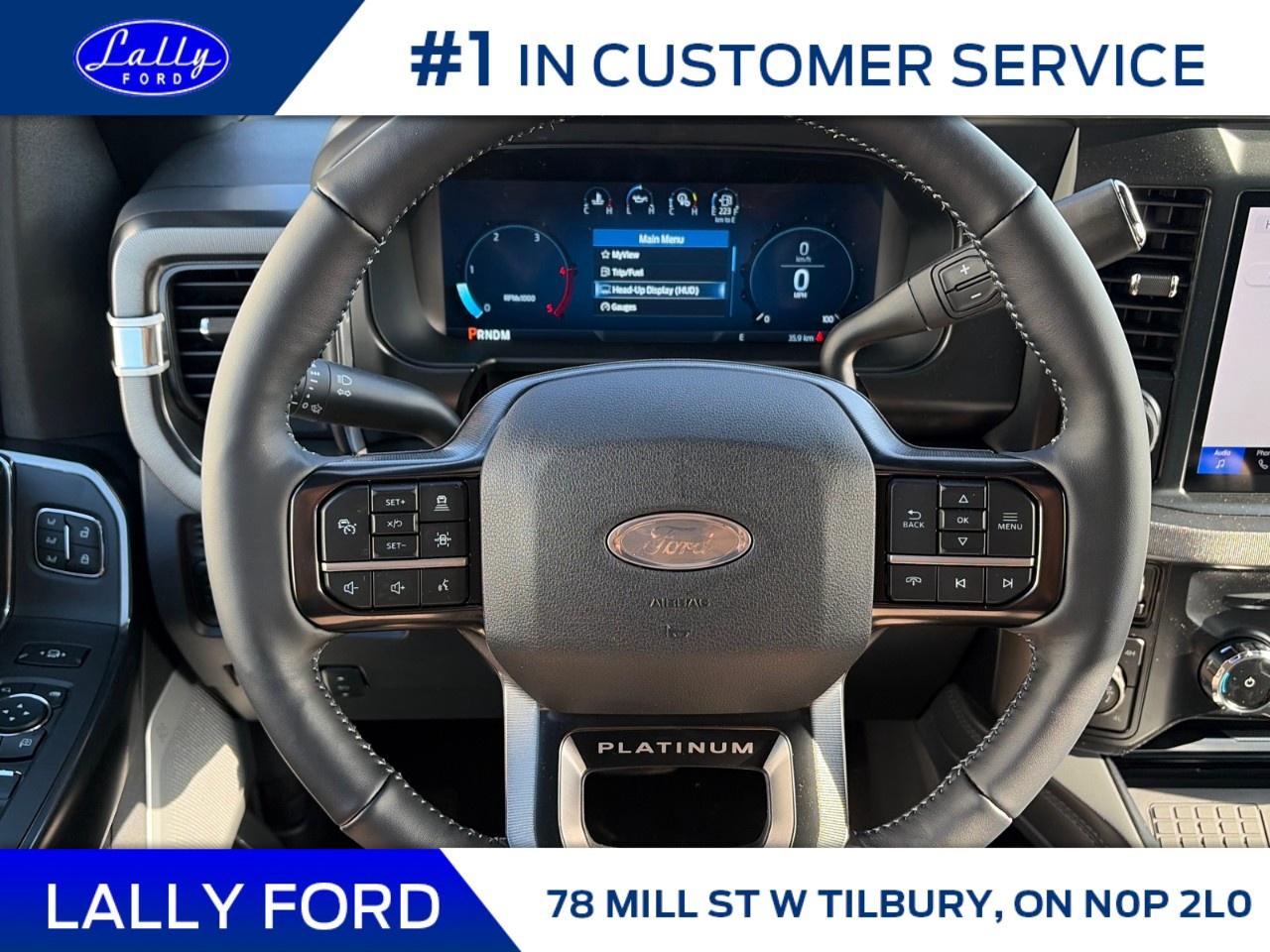 2026 Ford F-250 Super Duty SRW PLATINUM 4WD CREW CAB 6.75' BOX Photo