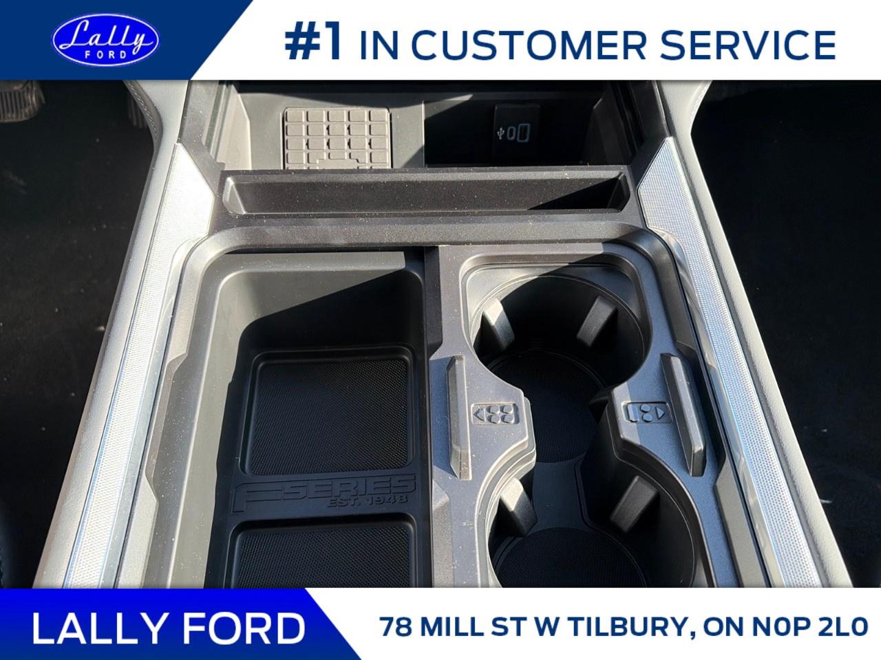 2026 Ford F-250 Super Duty SRW PLATINUM 4WD CREW CAB 6.75' BOX Photo