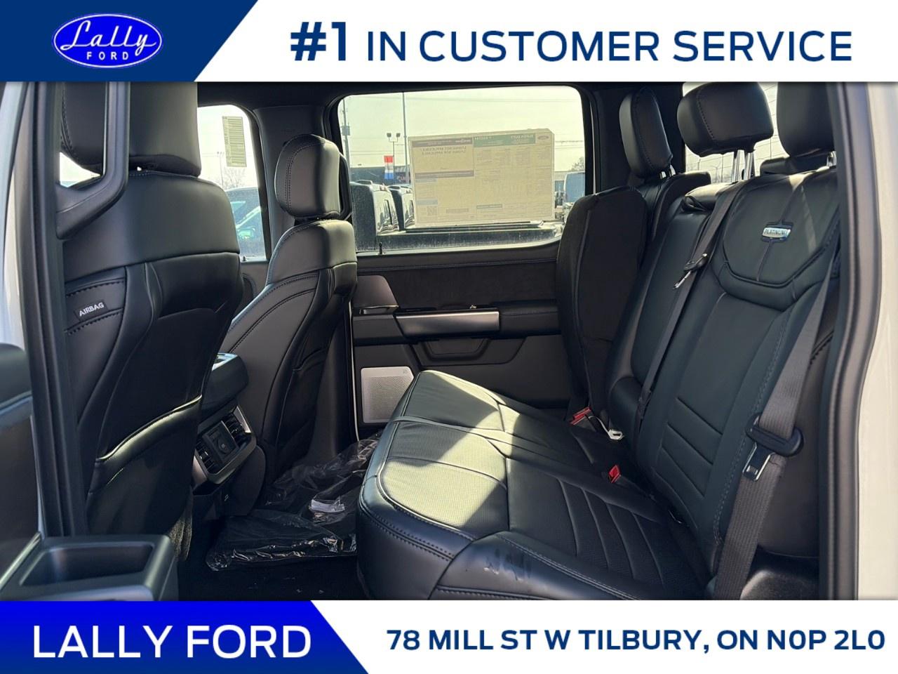 2026 Ford F-250 Super Duty SRW PLATINUM 4WD CREW CAB 6.75' BOX Photo