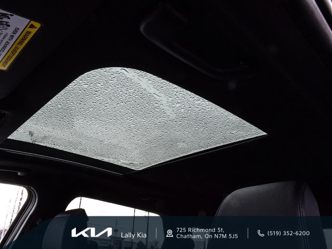 2026 Kia Sportage X-Line Limited w/Black Interior 2026 Kia Sportage – X-Line Limited | Dealership Demo | Qualifies for New Incentives Photo