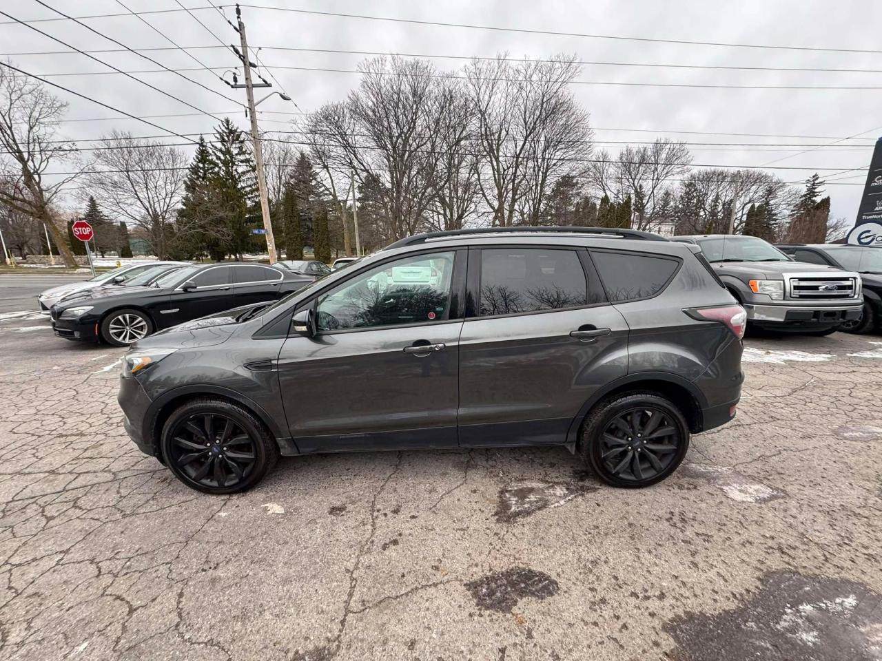2017 Ford Escape Titanium Photo3
