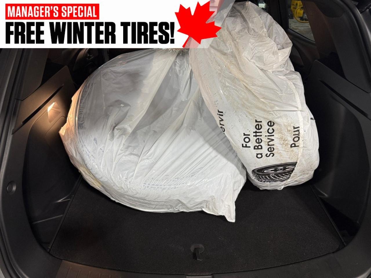 2025 Chevrolet TrailBlazer AWD 4dr RS Photo