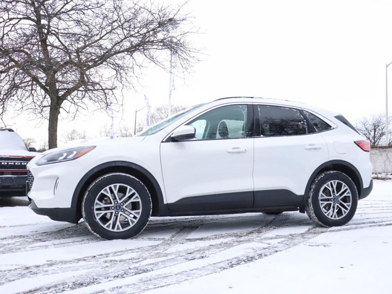 2022 Ford Escape SEL Hybrid | AWD | ROOF | NAV | PWR LIFTGATE |BLIS Photo4