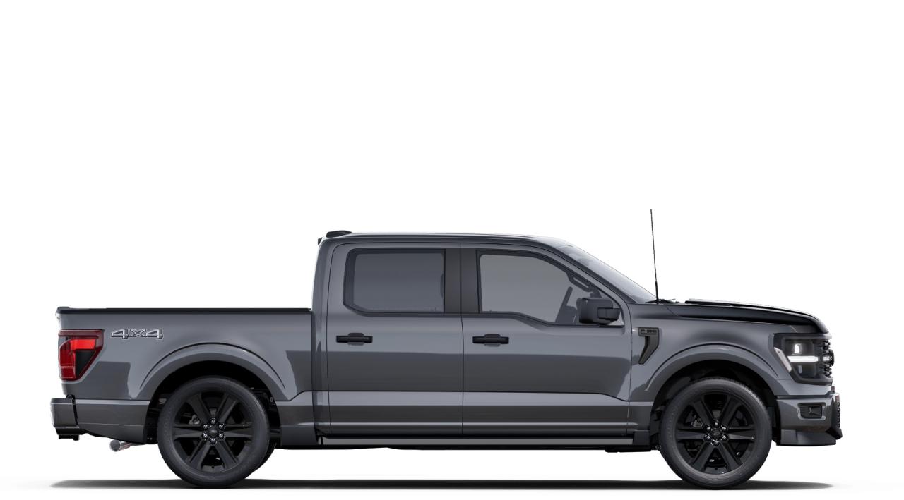 2025 Ford F-150 STX/5.0L V8/LOBO PKG Photo