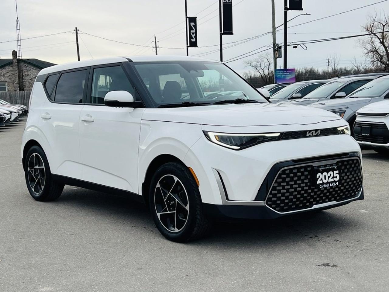 2025 Kia Soul EX+ Photo3