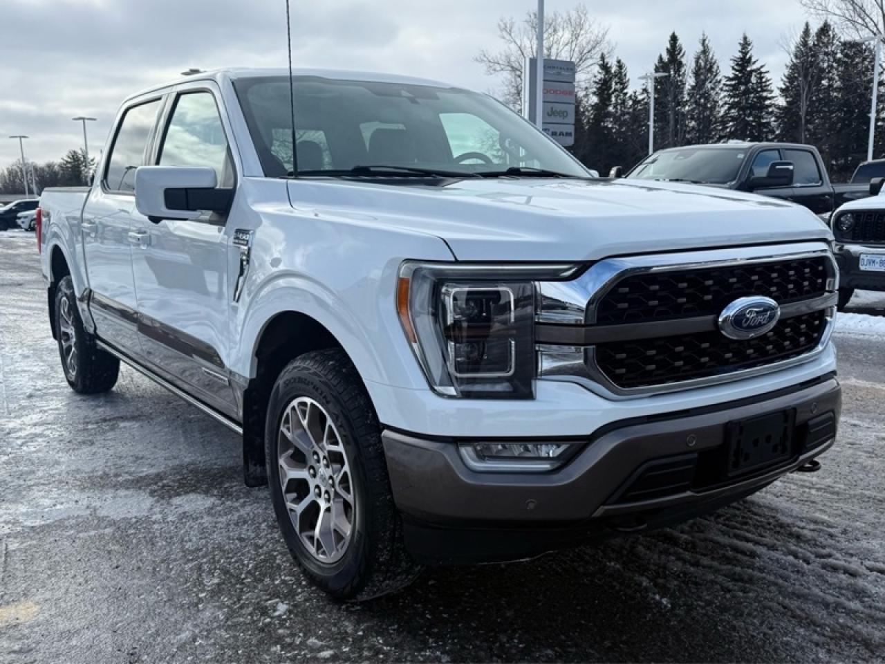 2022 Ford F-150  Photo3